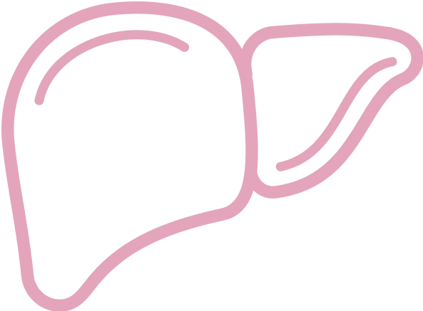 Liver <br/> Cancer